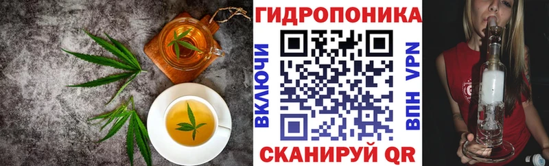 где купить наркоту  Волгоград  MEGA сайт  Cannafood конопля 