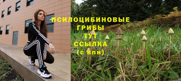 мдма Дмитровск
