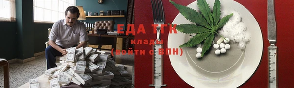 СК Туринск