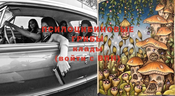 кокс Дмитриев