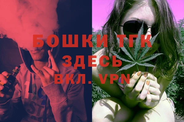 мет Дмитров