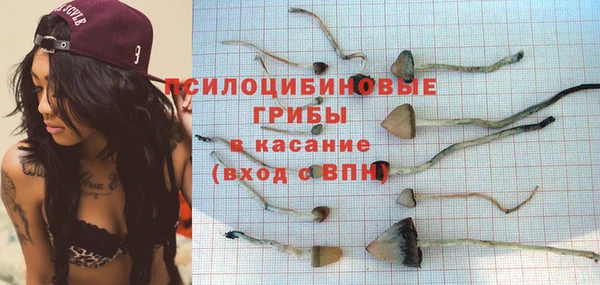 мет Дмитров