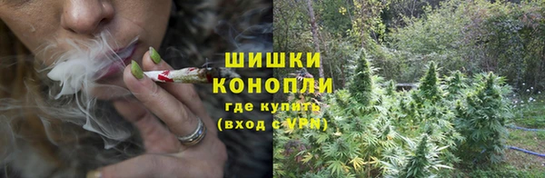 мет Дмитров