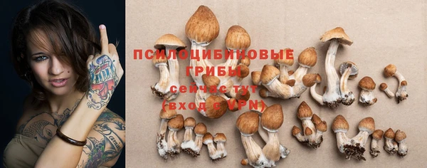 спиды Тутаев