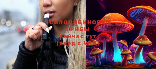 мет Дмитров