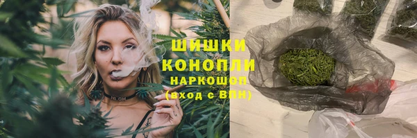 мет Дмитров